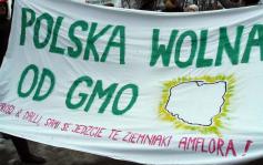 Pokojowy protest przeciwko GMO – 17 marca 2010 | źródło: icppc.pl   